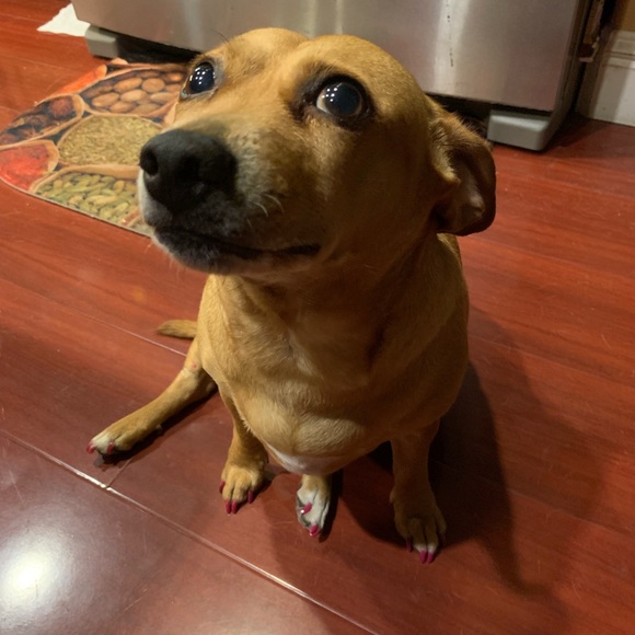 Choose any 3 Items priced $20 & below for $20 provided it’s within the 5lb limit - Picture 5 of 8